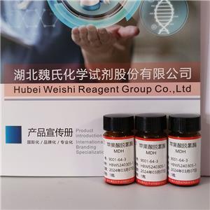 苹果酸脱氢酶,MDH