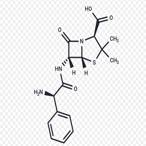Amp-HRP，氨苄青霉素-过氧化物酶标记物，Ampicillin-Peroxidase Conjugate
