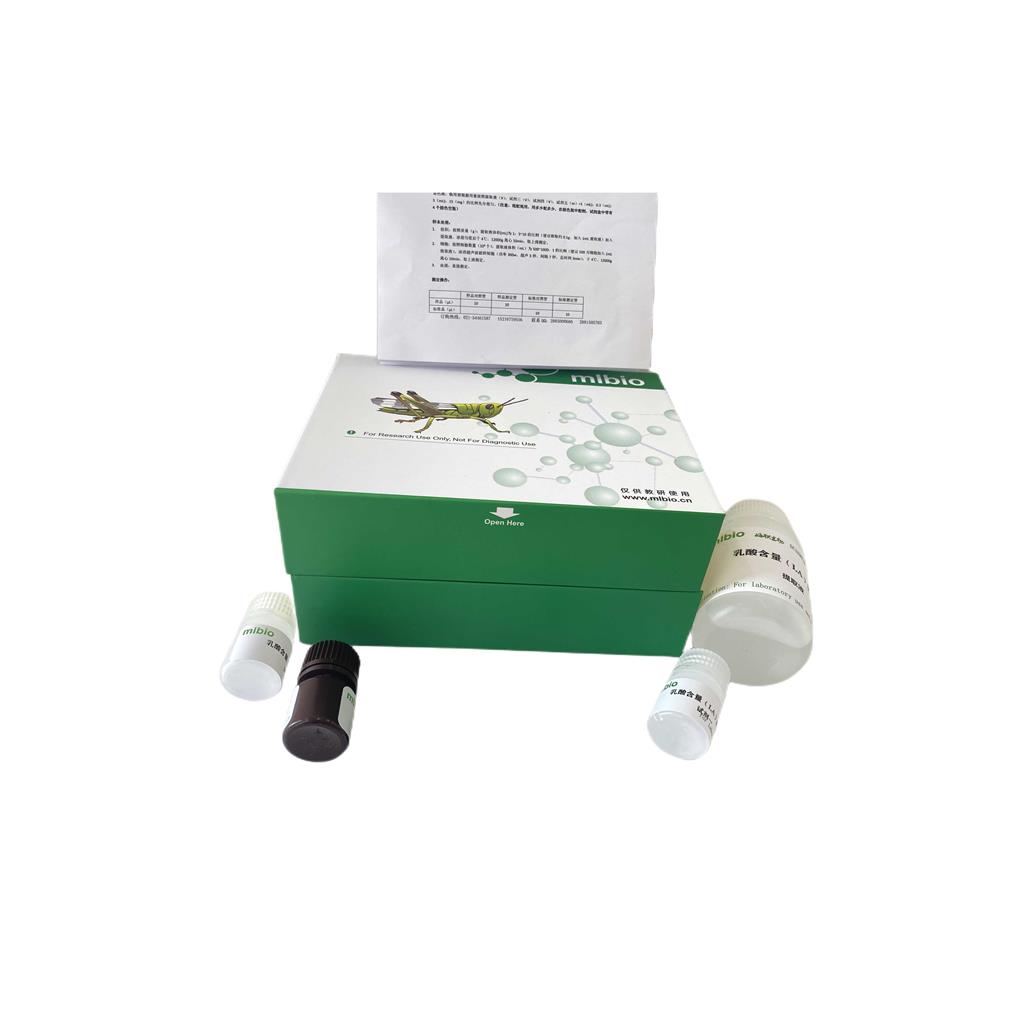 多胺氧化酶(PAO)测定试剂盒/分光光度法/48样,PAO ELISA KIT