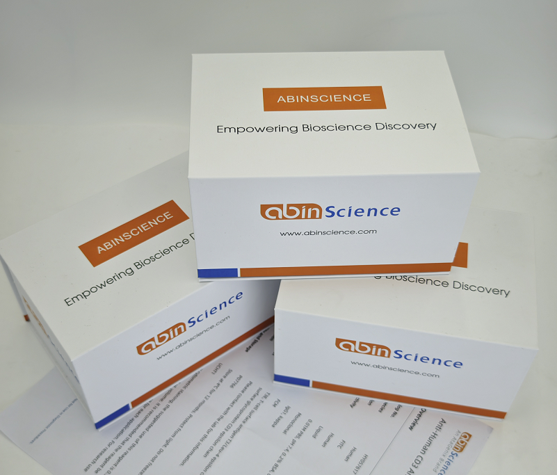 抗人IgE/IGHE抗体（8D6）,Anti-Human IgE/IGHE Antibody (8D6)