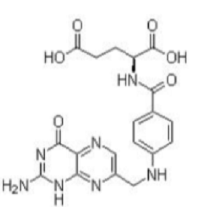 叶酸-辣根过氧化物酶标记物,FA-HRP