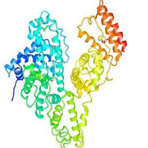 维甲酸-鸡卵清白蛋白偶联物,ATRA-OVA Conjugate