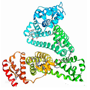 卡那霉素-牛血清白蛋白偶联物,Kanamycin-BSA Conjugate