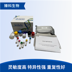 人胰岛素样生长因子结合蛋白1(IGFBP-1）检测试剂盒（ELISA法）