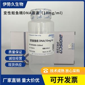 变性鲑鱼精DNA溶液（10mg/ml)