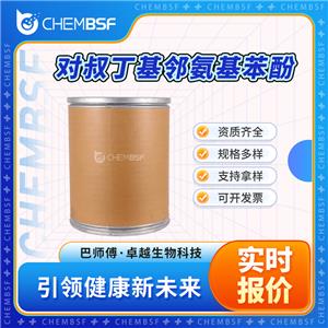 对叔丁基邻氨基苯酚,2-Amino-4-tert-butylphenol