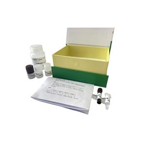 类黄酮糖基转移酶(UFGT)测定试剂盒/分光光度法/48样,UFGT ELISA KIT