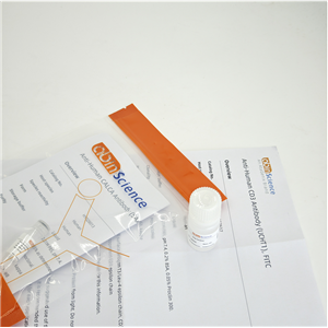 抗人IgE/IGHE抗体（8D6）,Anti-Human IgE/IGHE Antibody (8D6)