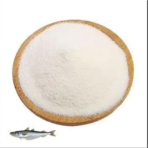 左卡尼汀,L-Carnitine