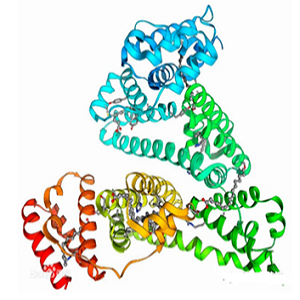 CA-BSA Conjugate，绿原酸-牛血清白蛋白偶联物