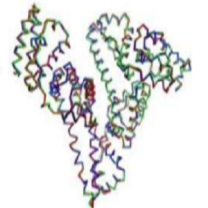 卡那霉素-鸡卵清白蛋白偶联物,Kanamycin-OVA Conjugate