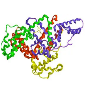 Gentamycin-OVA Conjugate，庆大霉素-鸡卵清白蛋白偶联物