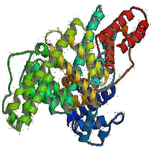 恩诺沙星-鸡卵清白蛋白偶联物,Enrofloxacin-OVA Congjugate