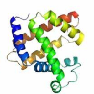 四环素-牛血清白蛋白偶联物,Tetracycline-BSA Conjugate