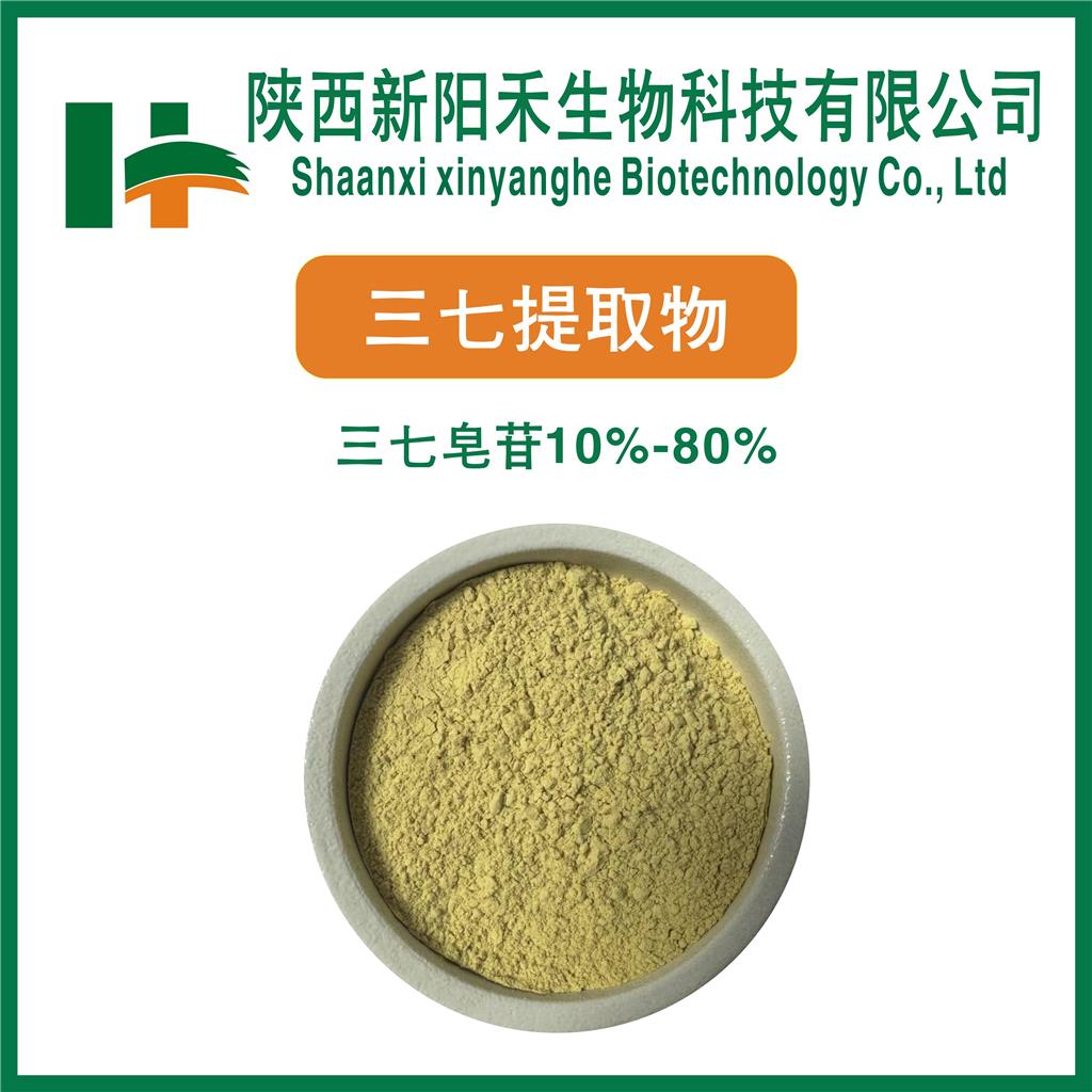 三七提取物,Panax notoginseng Extract