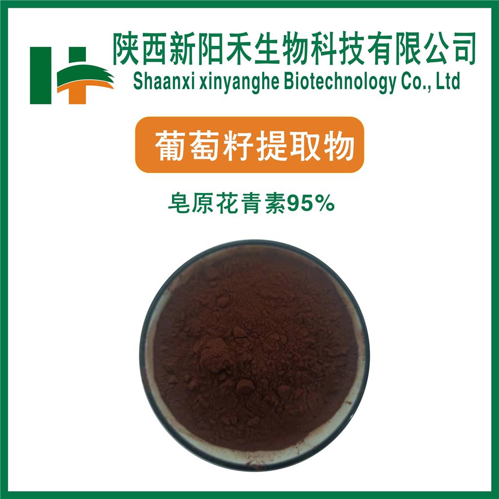 葡萄籽提取物,Grape Seed P.E.