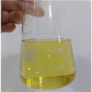 三七提取物,Panax notoginseng Extract