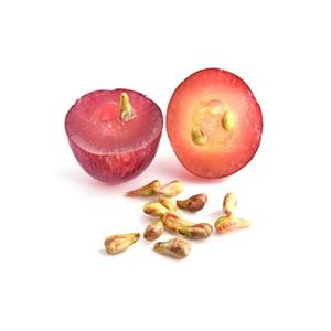 葡萄籽提取物,Grape Seed P.E.