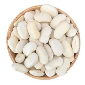 白芸豆提取物,Kidney Bean Extract