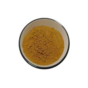 番泻叶提取物,Senna Leaf Extract