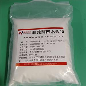 辅羧酶四水物,Cocarboxylase Tetrahydrate