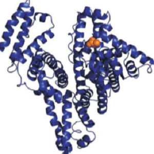 四溴双酚A-牛血清白蛋白偶联物,TBBPA-BSA