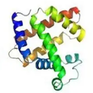 3-硝基酪氨酸-牛血清白蛋白偶联物,3-Nitrotyrosine-BSA Conjugate