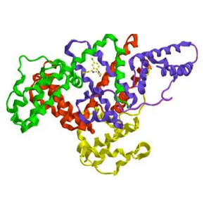 环丙沙星-牛血清白蛋白偶联物,Ciprofloxacin-BSA Conjugate