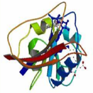 磺胺多辛-牛血清白蛋白偶联物,Sulfadoxine BSA Conjugate