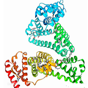 沙拉沙星-牛血清白蛋白偶联物,Sarafloxacin-BSA Conjugate