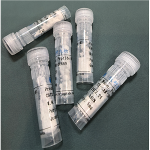 多肽TAT-ISP,NVG-291