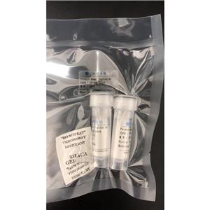 缬氨酰赖氨酸,Valyllysine