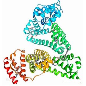 氨苄青霉素-鸡卵清白蛋白偶联物,Ampicillin-OVA Conjugate