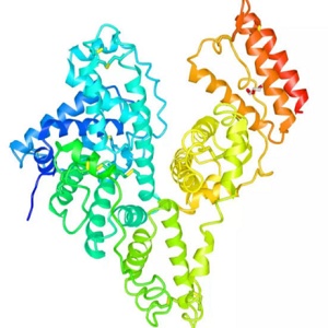 SD-BSA，磺胺嘧啶-牛血清白蛋白偶联物