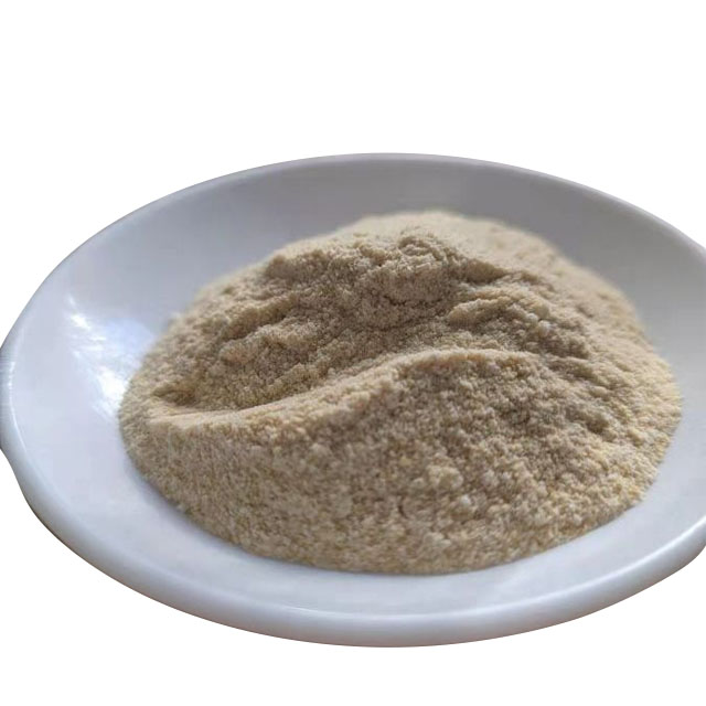 黄原胶,Xanthan gum
