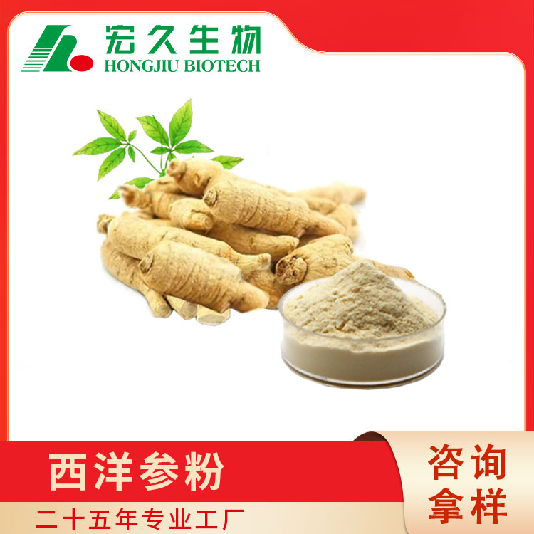 西洋参提取物,American Ginseng Extract Powder