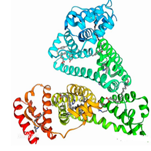 四环素-鸡卵清白蛋白偶联物,Tetracycline-Ovalbumin Conjugate