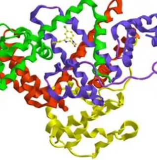 维生素B12-牛血清白蛋白偶联物,Vitmin B12-BSA Conjugate