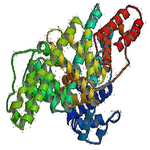 鸡卵清蛋白-组织胺偶联物,OVA conjugated Histamine Hapten