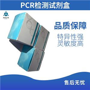 霍乱弧菌 / 蜡样芽孢杆菌检测试剂盒( 双重荧光 PCR 法 )