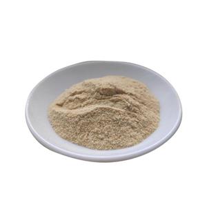 黄原胶,Xanthan gum