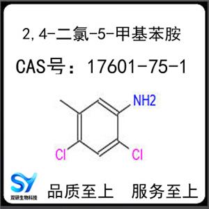 2,4-二氯-5-甲基苯胺,2,4-DICHLORO-5-METHYL-PHENYLAMINE
