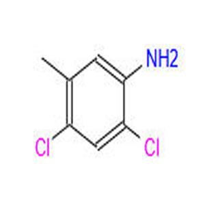 2,4-二氯-5-甲基苯胺,2,4-DICHLORO-5-METHYL-PHENYLAMINE