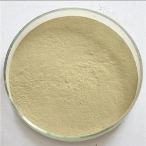 2,4-二氯-5-甲基苯胺,2,4-DICHLORO-5-METHYL-PHENYLAMINE