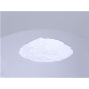 P-LySoPC棕榈酰溶血卵磷脂,P-LySoPC