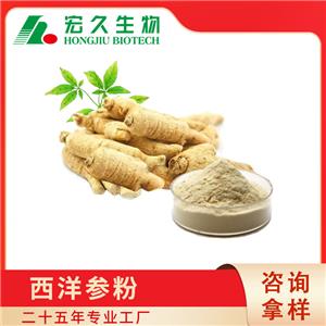 西洋参提取物,American Ginseng Extract Powder