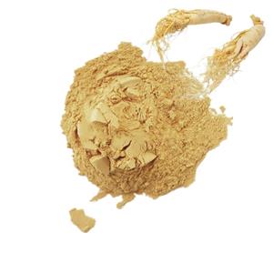 西洋参提取物,American Ginseng Extract Powder
