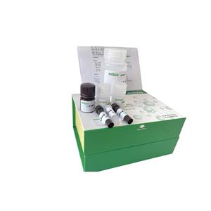 β-葡萄糖醛酸苷酶(β-GD)测定试剂盒/分光光度法/48样,β-GD ELISA KIT