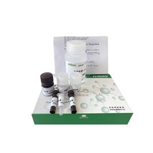 β-葡萄糖醛酸苷酶(β-GD)测定试剂盒/微量法/96样,β-GD ELISA KIT