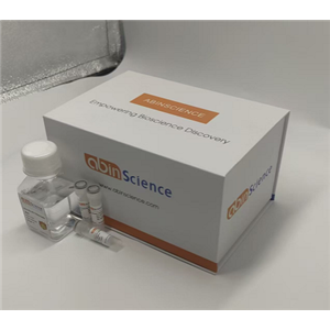 InVivoMAb 抗Human thrombin 抗体 (ABV0261)（一抗）,InVivoMAb Anti-Human thrombin Antibody ABV0261